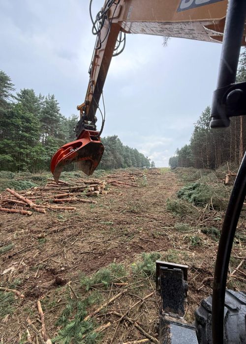 4-likwidacja lasów i sadów