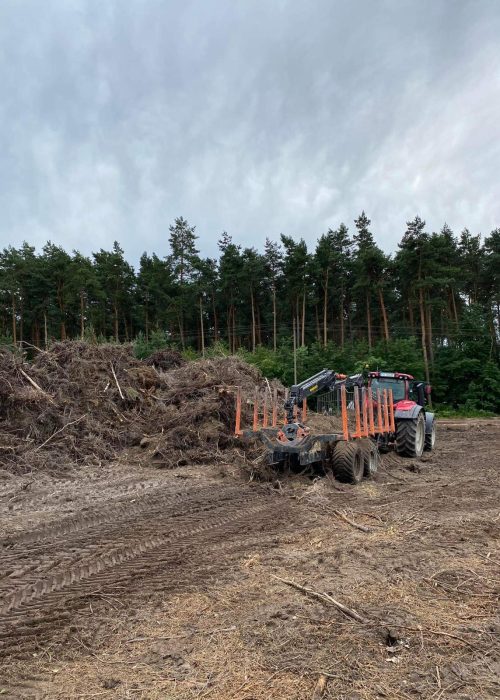 5-karczowanie, wycinka samosiejek