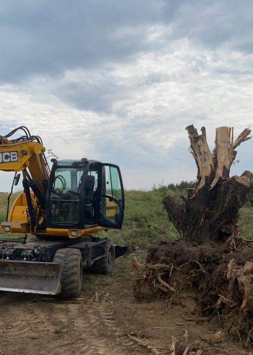 7-usuwanie karpiny korzeni